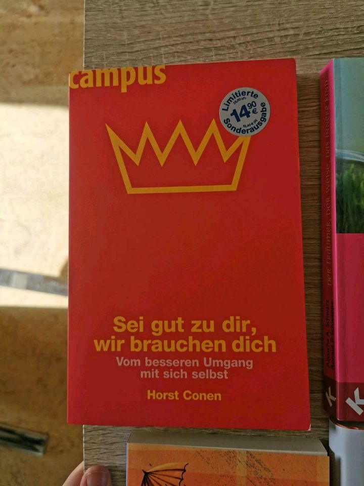 Bücherpaket Esoterik Spiritualität Gesundheit horst conen Cameron in Illingen