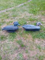 Enten Wasser  Dekor Hannover - Herrenhausen-Stöcken Vorschau