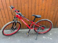 Felt Mountainbike 24 Zoll mit Scheibenbremse Sachsen - Bad Lausick Vorschau