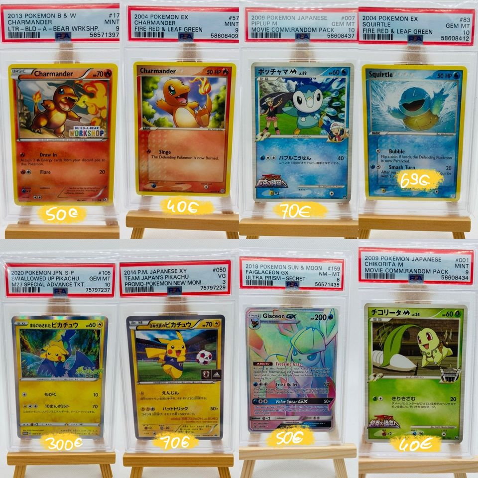 PSA 10 Pokemon Karten Sammlung, PSA, Glumanda, Glurak, Schiggy in Potsdam