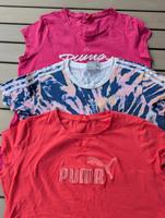 3 Adidas Puma Sport Shirt T-Shirt Gr. 40 42 L Hessen - Weilmünster Vorschau