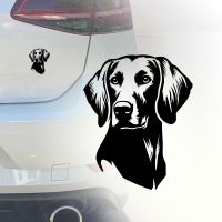 Auto Aufkleber | Weimaraner | Wunschfarbe | Sticker Cae | Hund Köln - Köln Merheim Vorschau