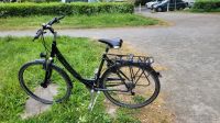 Pegasus Damen Fahrrad 28 zoll 24 gang- Rahmenhöhe 50 cm. Niedersachsen - Hildesheim Vorschau