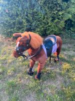 Pferd mit Sattel, Satteldecke und Sound Plüschpferd 70cm Ostern Niedersachsen - Göttingen Vorschau