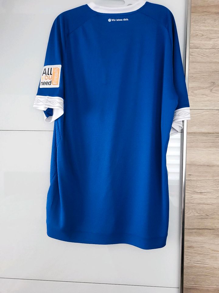 Schalke Heimtrikot 2018/2019 m. 25 Originalunterschriften SPIELER in Erlensee