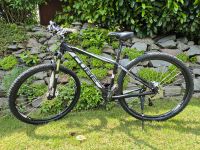 Cube Analog Disc MTB, 29er, 17 Zoll Rahmen Nordrhein-Westfalen - Breckerfeld Vorschau