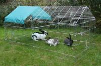 Freilaufgehege für Kleintierstall Hase Kaninchen Hühner Auslauf Brandenburg - Treuenbrietzen Vorschau