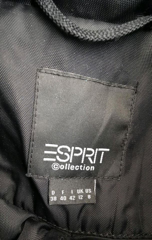 Esprit Jacke, Übergangsjacke schwarz in Brühl