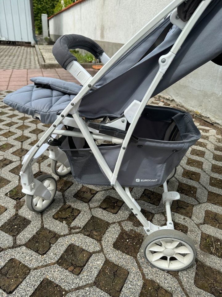 Kinderwagen in Moosinning