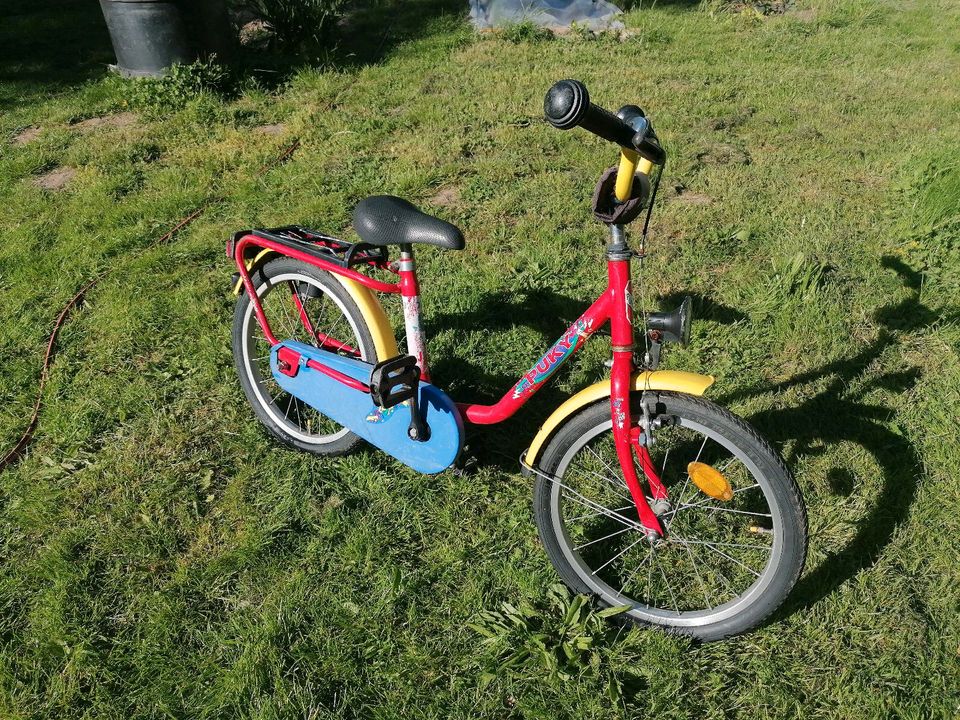 Puky Fahrrad 18 Zoll Kinderfahrrad in Gnoien