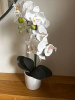 Künstliche Orchidee Bayern - Pegnitz Vorschau