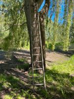 Holz Anlegeleiter Mecklenburg-Vorpommern - Trassenheide Vorschau