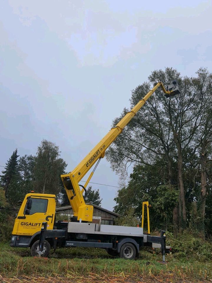 Baumfällung, Baumpflege, Baumschnitt, in Lüdershagen