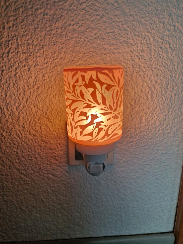 Scentsy Wispy Willow elektrische Miniduftlampe rosa Wandstecker in Lahnau