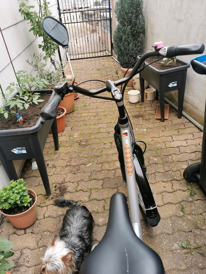 E Bike City Comfort Damen fahrrad Alu in Wadgassen