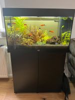 Aquarium Juwel Rio 125 Rheinland-Pfalz - Schifferstadt Vorschau