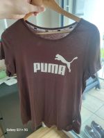 Puma T- Shirt (brombeere) Gr. 40 Niedersachsen - Osnabrück Vorschau