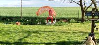 Ich suche ein kleines Haus mit Garten zum wohlfühlren Bayern - Regenstauf Vorschau