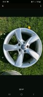 4 Audi Alufelgen 5x112, 17 Zoll, ET48, 8V0071497 Hessen - Alsfeld Vorschau