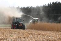 Miscanthus/Pferdeeinstreu/Beetabdeckung Rheinland-Pfalz - Berlingen Vorschau