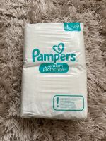 Biete Original Pampers Größe 1   2-5 kg  60 Stück Nordrhein-Westfalen - Dorsten Vorschau