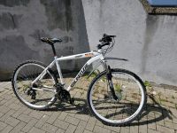 Fahrrad zum verkaufe Rheinland-Pfalz - Speyer Vorschau