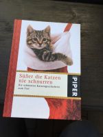 Süßer die Katzen nie Schnurren Nordrhein-Westfalen - Nieheim Vorschau