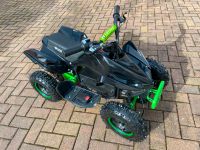 LIEFERBAR Python 1000W Elektro Kinderquad Mini Kinder E Quad Rheinland-Pfalz - Montabaur Vorschau