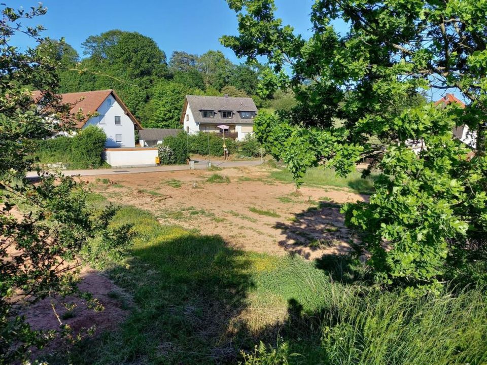 Pachtgrundstück nahe Edersee Tinyhaus Tinyhouse Grundstück in Waldeck