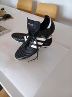 Fußballschuhe  2 mal getragen Baden-Württemberg - Emmendingen Vorschau