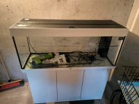 Juwel Rio 240 LED Aquarium mit Unterschrank Sachsen-Anhalt - Halle Vorschau