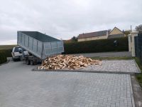 Feuerholz Holz Ofen Brennholz Feuerschale Sachsen - Leisnig Vorschau