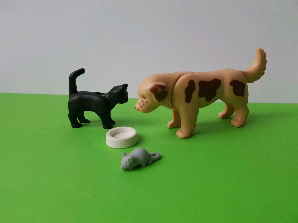 Playmobil Hund Katze Maus in Wunstorf