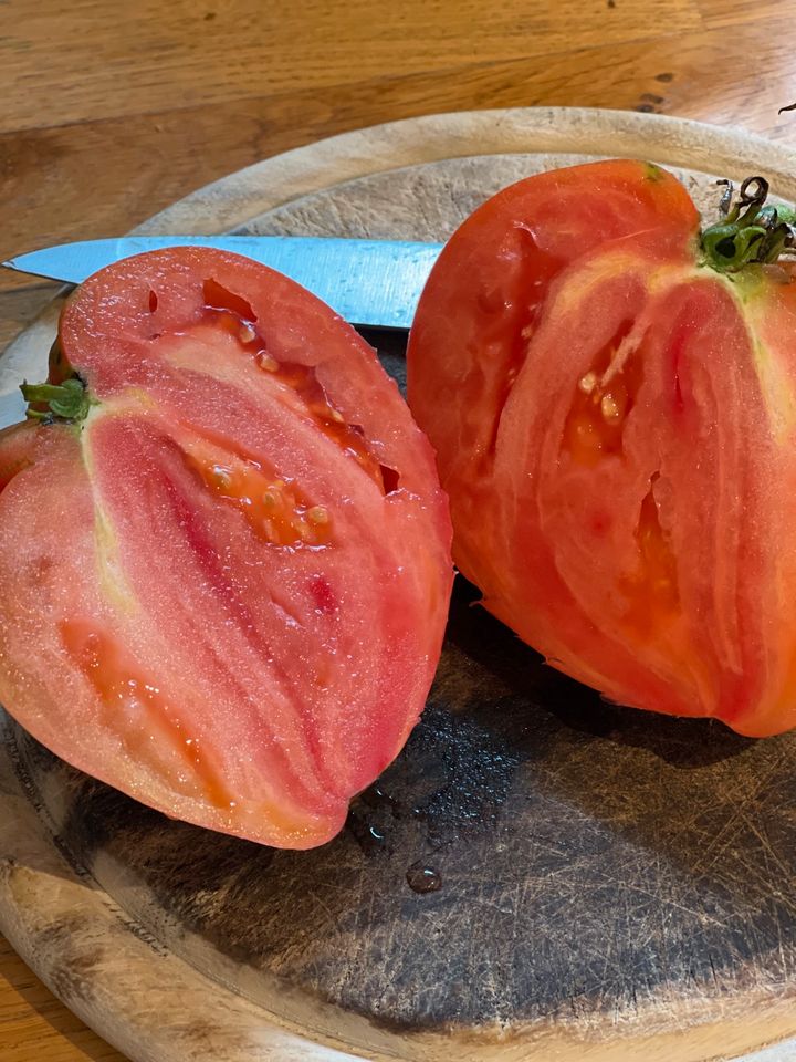 Saatgut Herztomate in Meißenheim