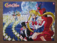 Sailor Moon Poster-Sammlung Saarland - Rehlingen-Siersburg Vorschau