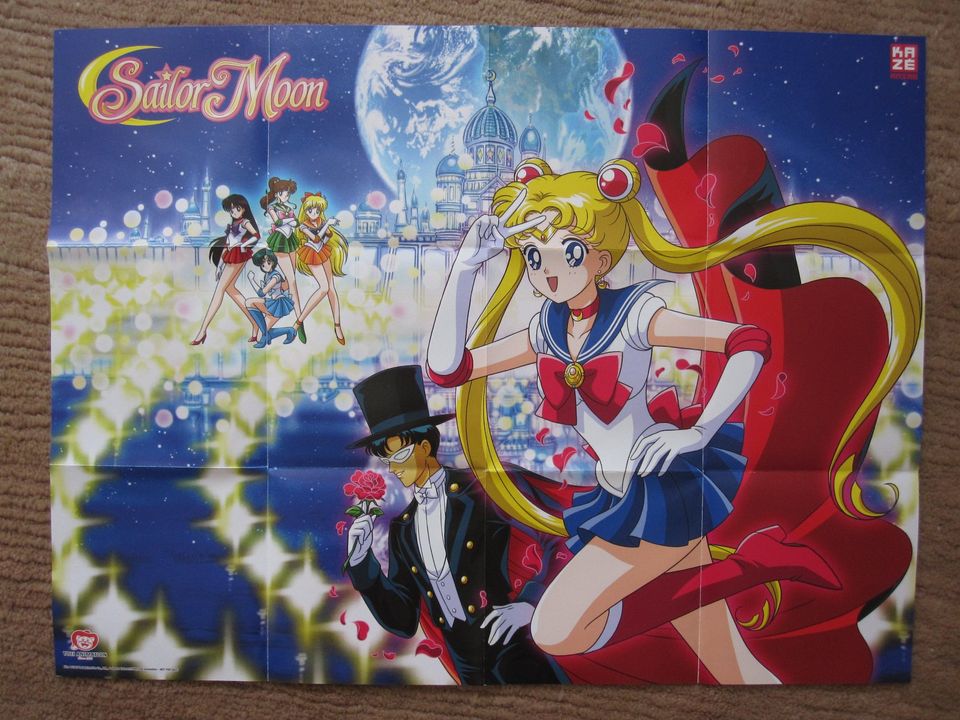 Sailor Moon Poster-Sammlung in Rehlingen-Siersburg