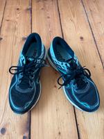 Asics Gel-Cumulus 41,5 Hessen - Dornburg Vorschau