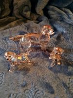 Swarovski Golden Retriever mit Welpen Bayern - Hilpoltstein Vorschau