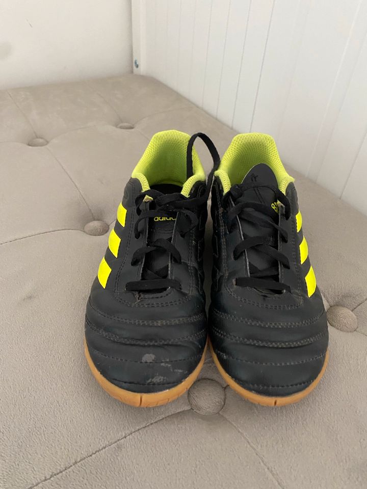 Adidas Copa Fußballschuhe/Hallenschuhe, 35 in Bad Essen