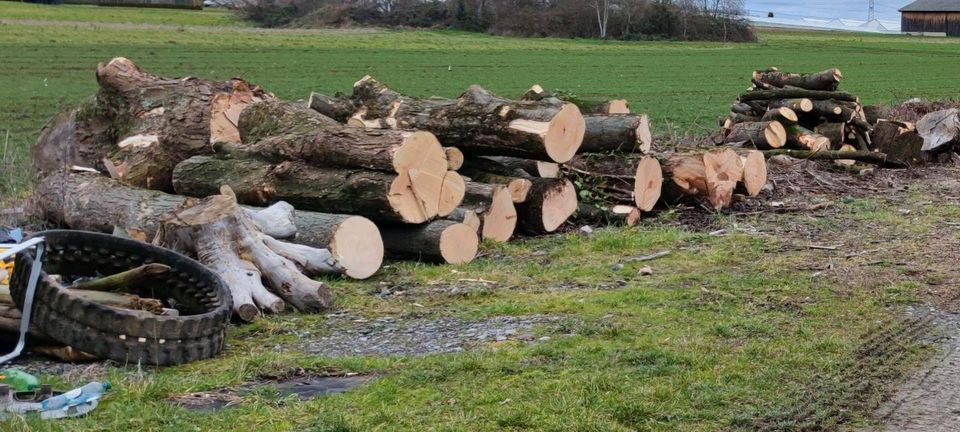 Brennholz Polter zu verkaufen in Kornwestheim