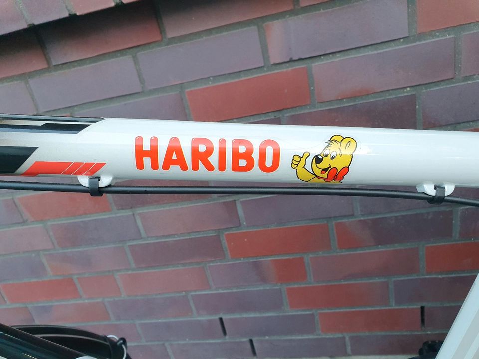 Neuwertiges Fahrrad Kettler motion Alu 28 Zoll Herrenrad Haribo in Flensburg