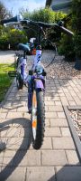 22" Zoll shimano Kinder Fahrrad, Pegasus Brandenburg - Falkensee Vorschau
