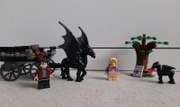 Harry Potter Lego Set Testral mit Kutsche Nordrhein-Westfalen - Frechen Vorschau