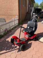 Golfcart FR-ED (Free Ride- Elektic Drive) Niedersachsen - Sarstedt Vorschau