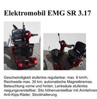 Elektromobil EMG SR 3.17 Baden-Württemberg - Karlsruhe Vorschau