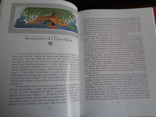 Alexander Afanasjew: Der Zauberring - Russische Volksmärchen⭐NEU⭐ in Jena