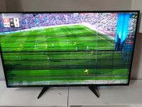 Panasonic Fernsehen mit Displayschaden Duisburg - Duisburg-Mitte Vorschau