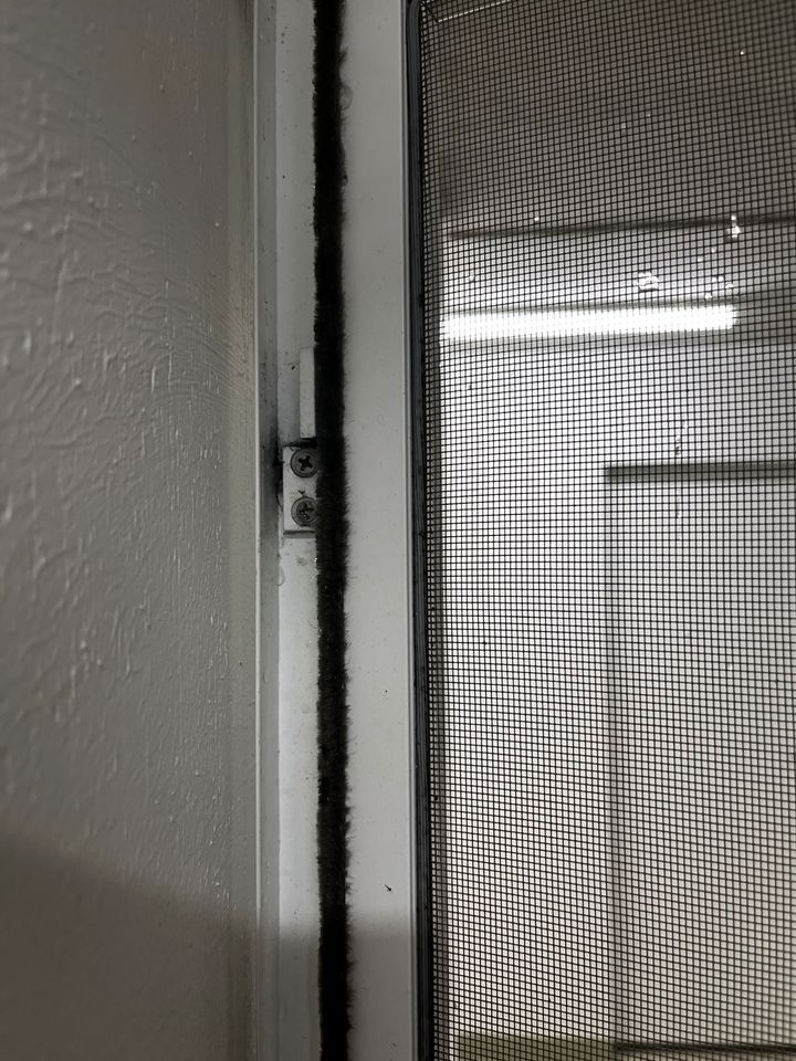 Insektenschutztür, Fliegengitter-Tür mit Klemmzarge (weiß) in Borken