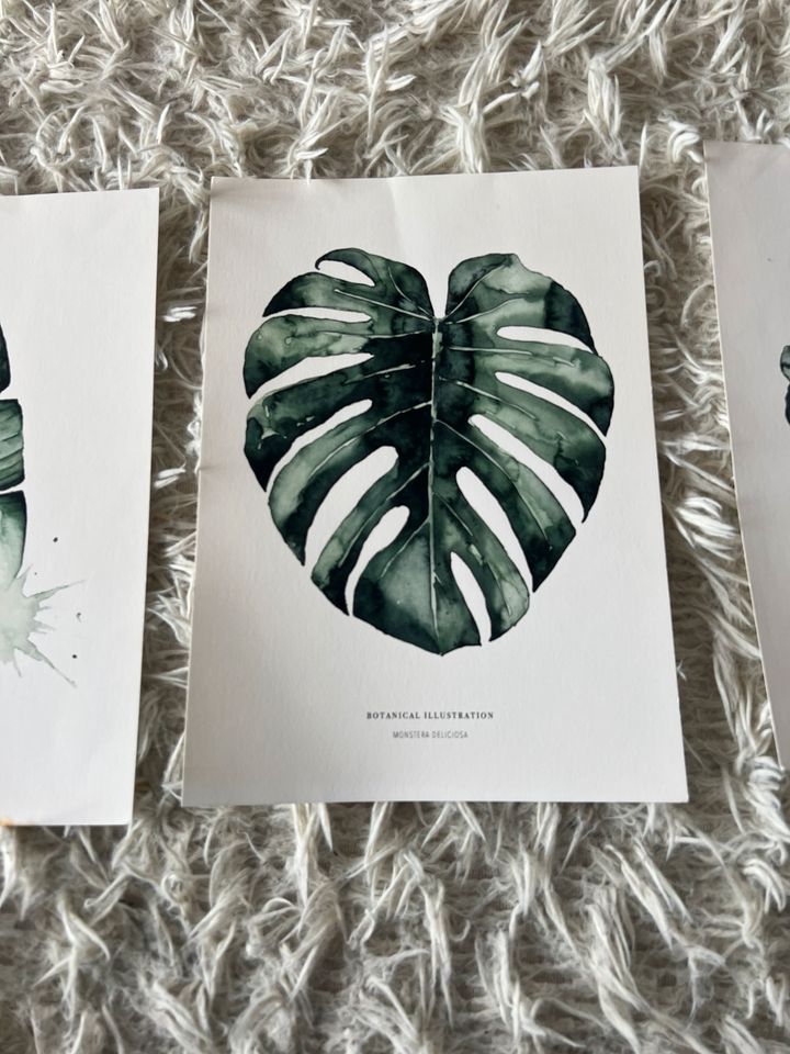 3 x Kunstdrucke A4 Botanical Illustration TOP in Hamburg