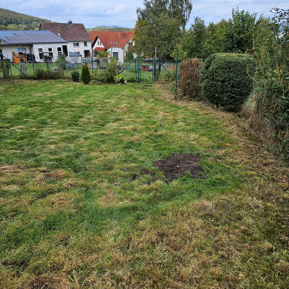 Rasenmähen und pflege in Zierenberg